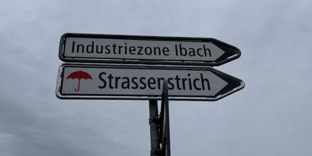 Bild zur News