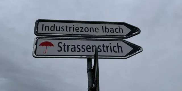 Bild zur News